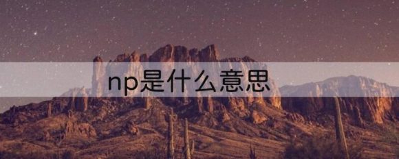 np是什么意思-1