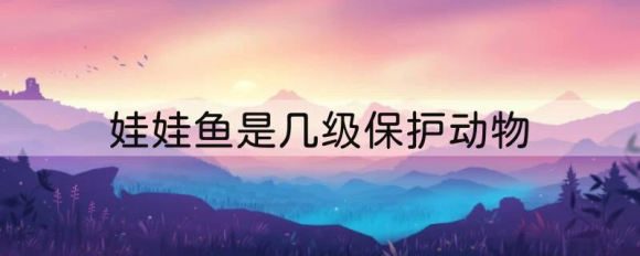 娃娃鱼是几级保护动物-1